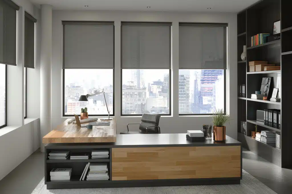 Solar Shades Office (1)